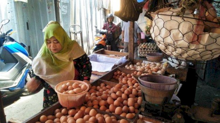 Harga Telur Ayam di Bogor Capai Rp32.000 per Kilogram