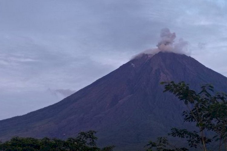 Gunung Semeru Kembali Erupsi, Letusan Capai Ketinggian 800 Meter ...