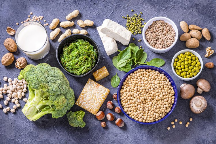 Kenali Sumber Makanan Protein Nabati dan Manfaatnya - westjavatoday.com