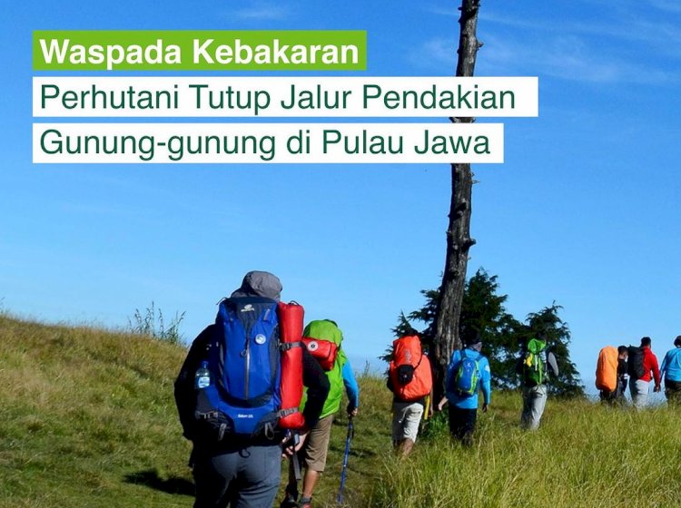 Antisipasi Kebaran Hutan, Perum Perhutani Tutup 26 Jalur Pendakian Sejumlah Gunung di Pulau Jawa